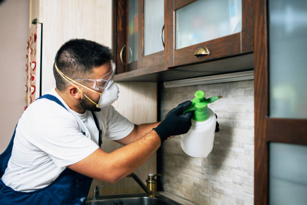 Best Residential Pest Control  in Sheldon, IL
