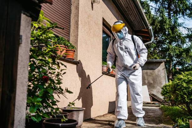 Best Emergency Pest Control  in Sheldon, IL