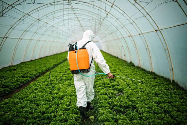 Best Pest Control Near Me  in Sheldon, IL