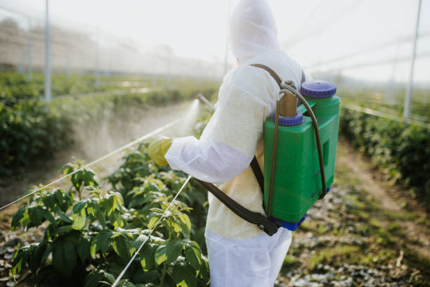 Best Best Pest Control Companies  in Sheldon, IL